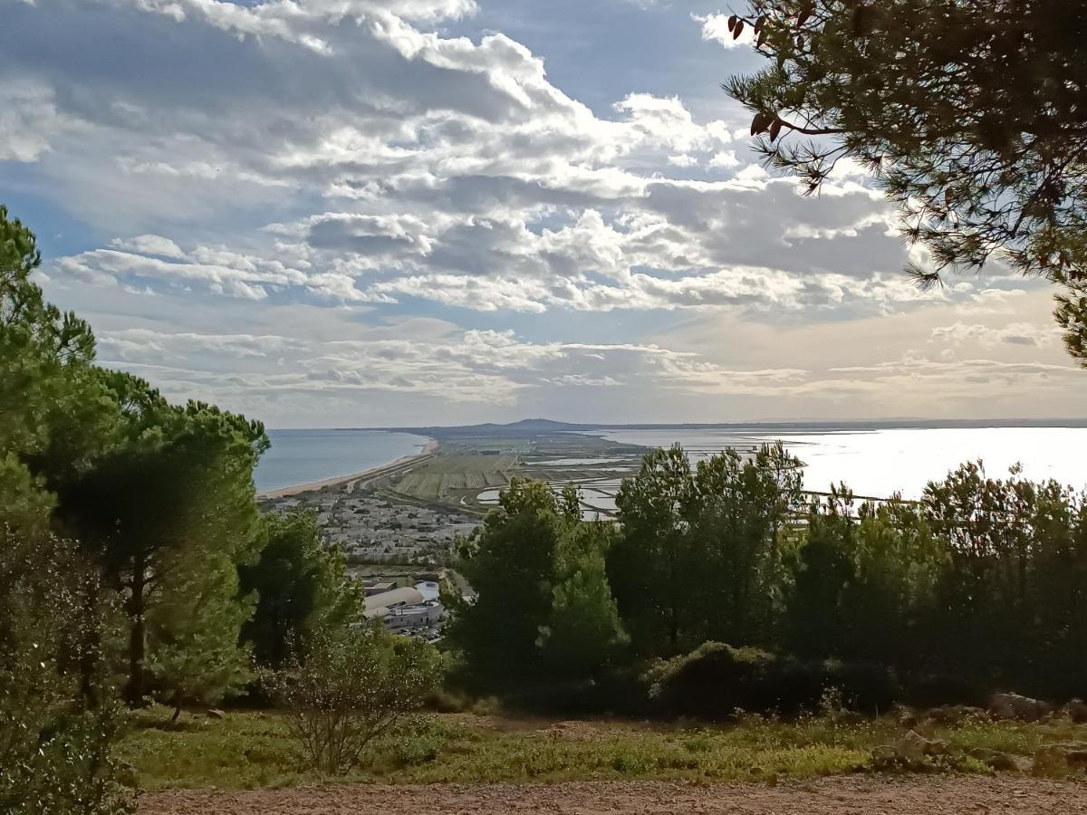 Appartement La Maison Verte Sète